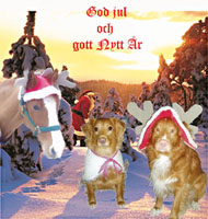 julkort fr&aring;n Leopold 2005. Leo till h&ouml;ger p&aring; bilden leopold.jpg
